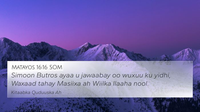 Matayos 16:16 SOM Bible Verse Image