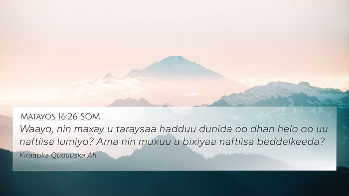 Matayos 16:26 SOM Bible Verse Image