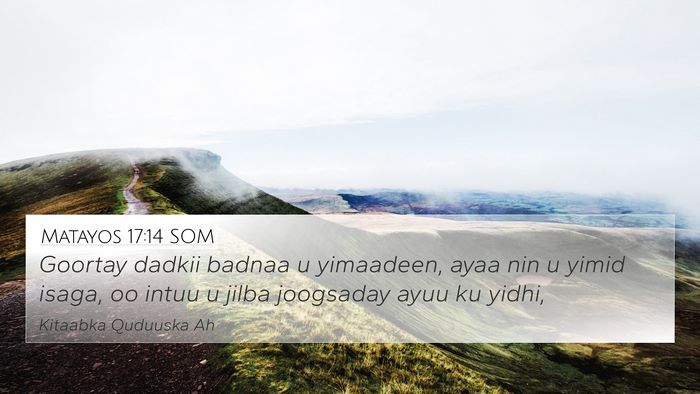 Matayos 17:14 SOM Bible Verse Image