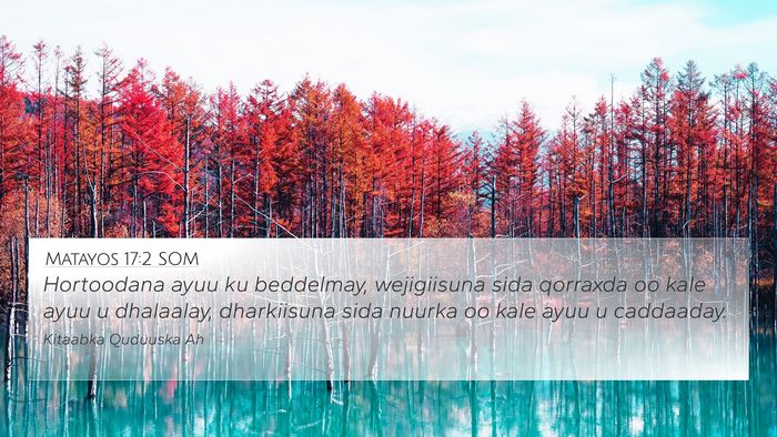 Matayos 17:2 SOM Bible Verse Image