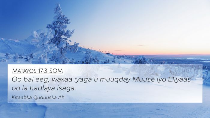 Matayos 17:3 SOM Bible Verse Image