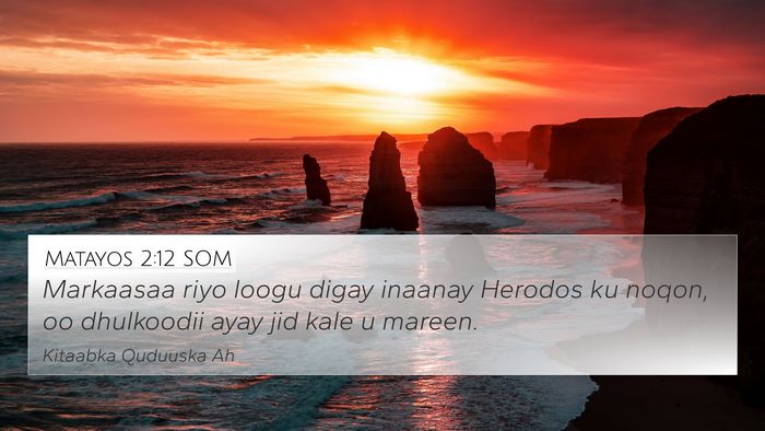 Matayos 2:12 SOM Bible Verse Image