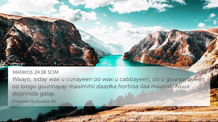 Matayos 24:38 SOM Bible Verse Image