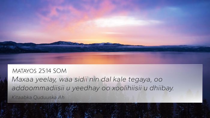 Matayos 25:14 SOM Bible Verse Image