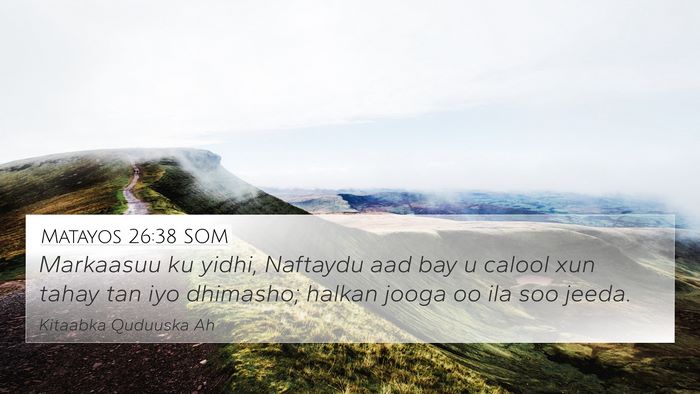 Matayos 26:38 SOM Bible Verse Image