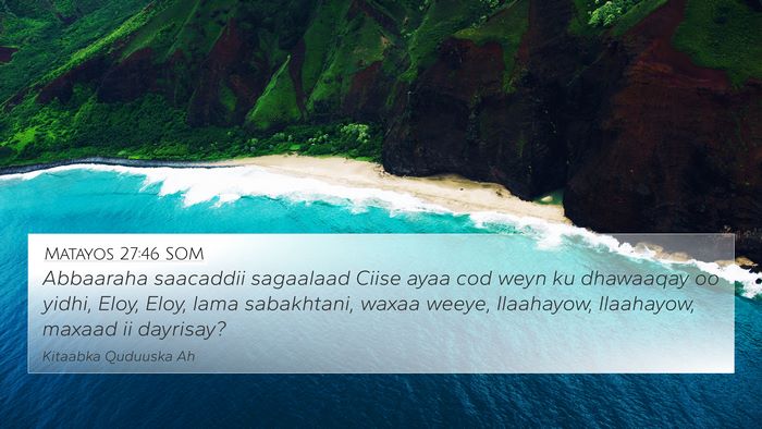 Matayos 27:46 SOM Bible Verse Image