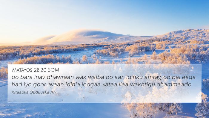 Matayos 28:20 SOM Bible Verse Image