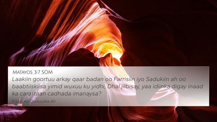 Matayos 3:7 SOM Bible Verse Image
