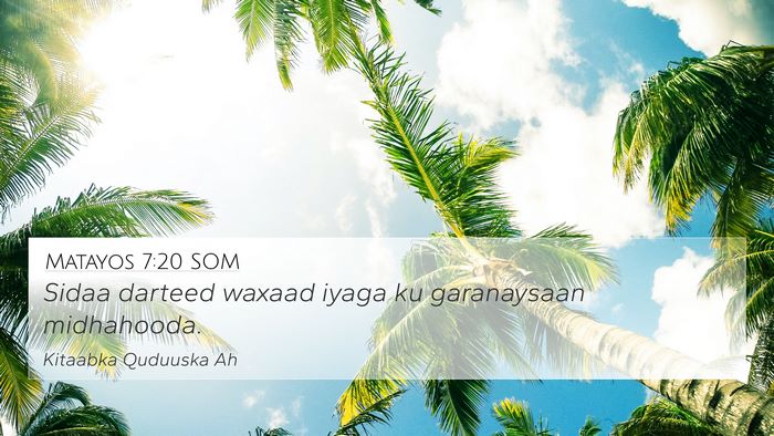 Matayos 7:20 SOM Bible Verse Image