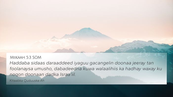 Miikaah 5:3 SOM Bible Verse Image