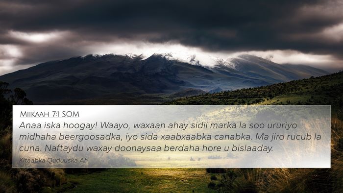 Miikaah 7:1 SOM Bible Verse Image