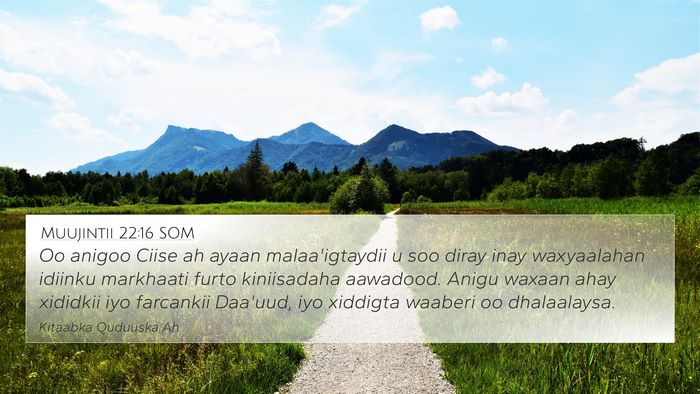 Muujintii 22:16 SOM Bible Verse Image