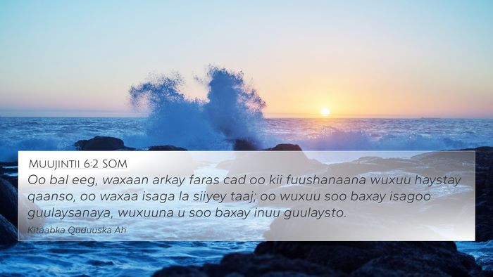 Muujintii 6:2 SOM Bible Verse Image