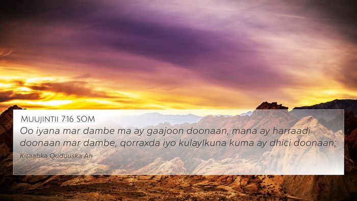 Muujintii 7:16 SOM Bible Verse Image
