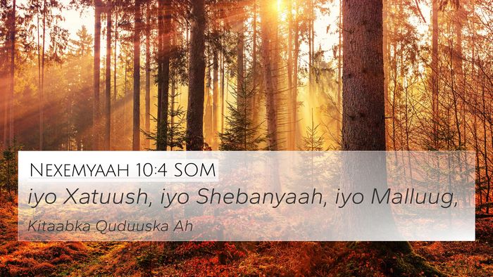 Nexemyaah 10:4 SOM 4K Wallpaper - iyo Xatuush, iyo Shebanyaah, iyo - 4K Wallpaper Bible Verse