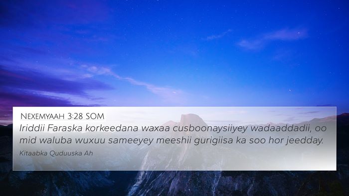 Nexemyaah 3:28 SOM Bible Verse Image