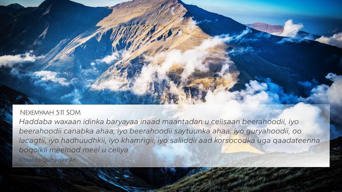 Nexemyaah 5:11 SOM 4K Wallpaper - Haddaba waxaan idinka baryayaa inaad maantadan u - 4K Wallpaper Bible Verse