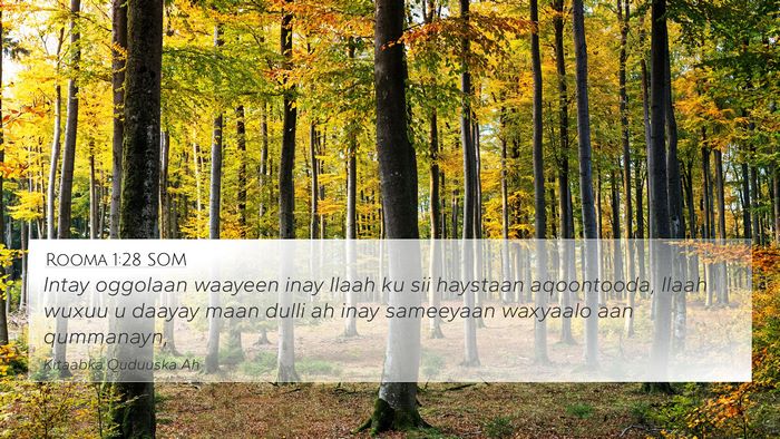 Rooma 1:28 SOM Bible Verse Image