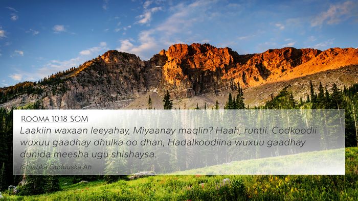 Rooma 10:18 SOM Bible Verse Image