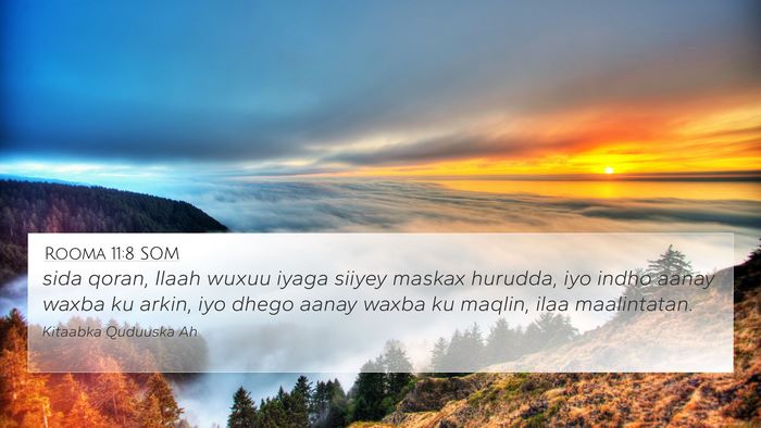 Rooma 11:8 SOM Bible Verse Image