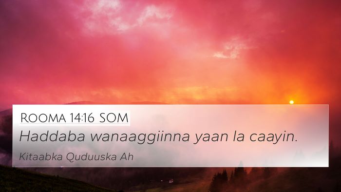 Rooma 14:16 SOM Bible Verse Image