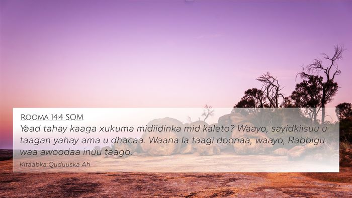 Rooma 14:4 SOM Bible Verse Image