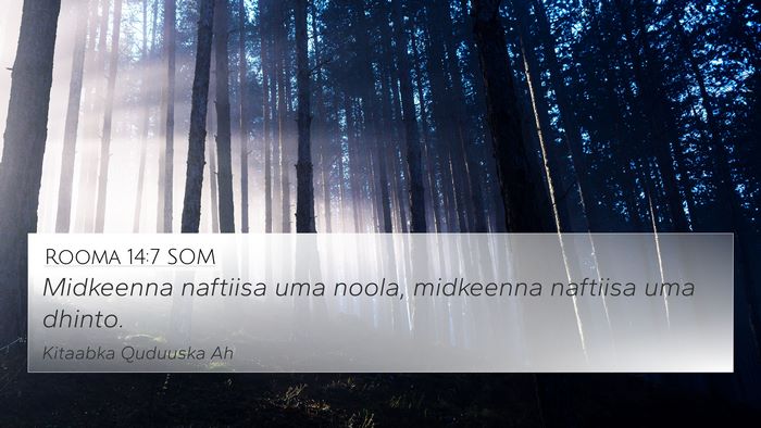 Rooma 14:7 SOM Bible Verse Image
