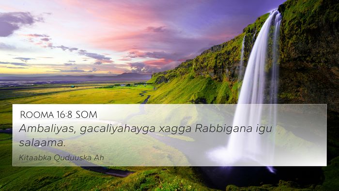 Rooma 16:8 SOM 4K Wallpaper - Ambaliyas, gacaliyahayga xagga Rabbigana igu - 4K Wallpaper Bible Verse