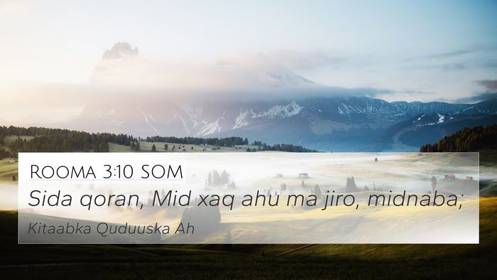 Rooma 3:10 SOM Bible Verse Image