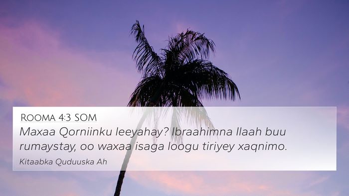 Rooma 4:3 SOM Bible Verse Image
