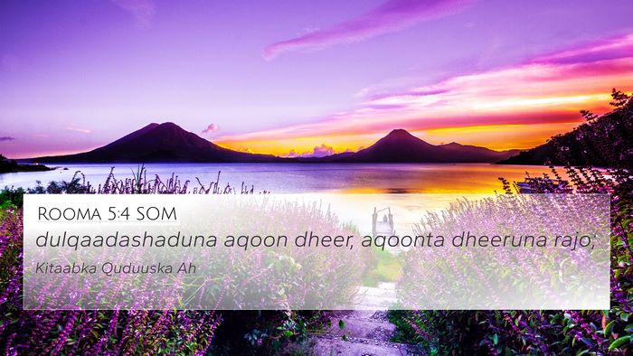 Rooma 5:4 SOM 4K Wallpaper - dulqaadashaduna aqoon dheer, aqoonta dheeruna - 4K Wallpaper Bible Verse