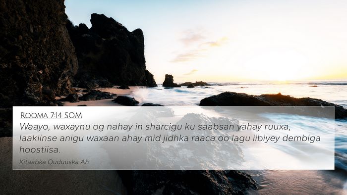 Rooma 7:14 SOM Bible Verse Image