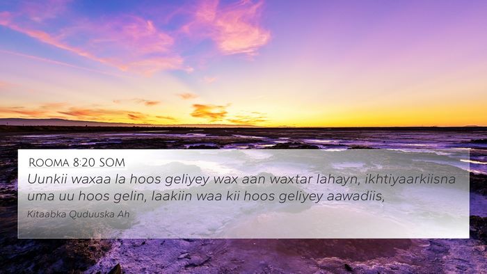 Rooma 8:20 SOM Bible Verse Image