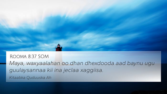 Rooma 8:37 SOM Bible Verse Image