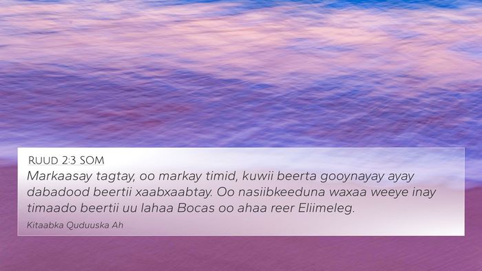 Ruud 2:3 SOM Bible Verse Image