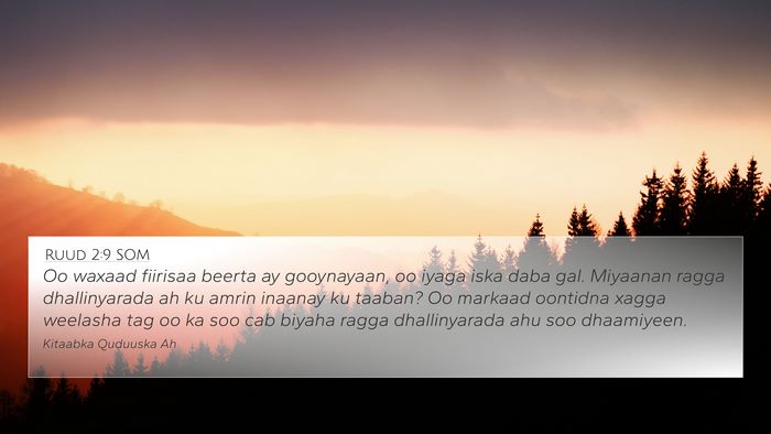 Ruud 2:9 SOM 4K Wallpaper - Oo waxaad fiirisaa beerta ay gooynayaan, oo iyaga - 4K Wallpaper Bible Verse