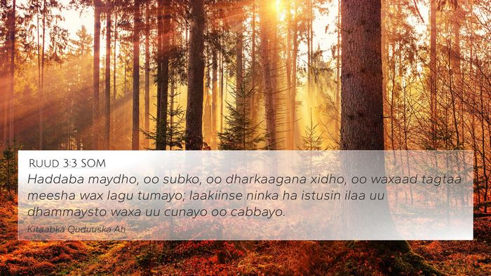 Ruud 3:3 SOM Bible Verse Image