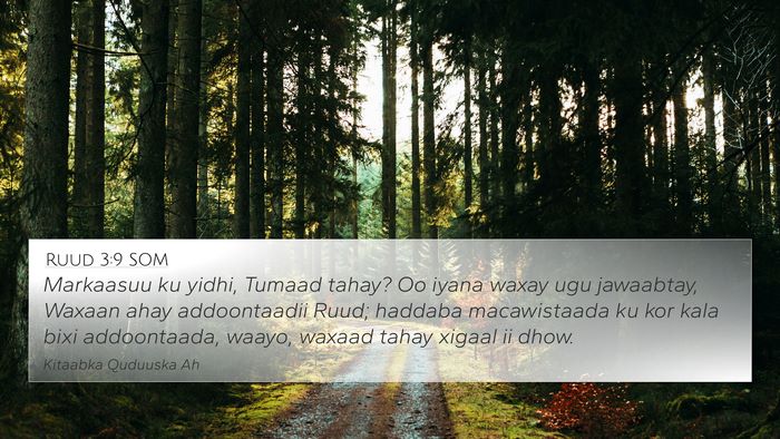 Ruud 3:9 SOM 4K Wallpaper - Markaasuu ku yidhi, Tumaad tahay? Oo iyana waxay - 4K Wallpaper Bible Verse