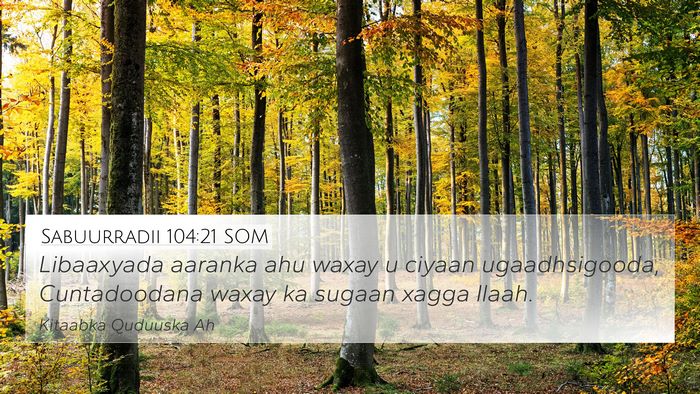 Sabuurradii 104:21 SOM Bible Verse Image