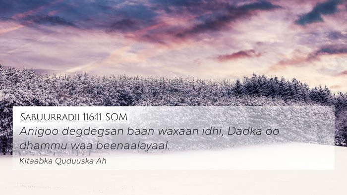 Sabuurradii 116:11 SOM Bible Verse Image