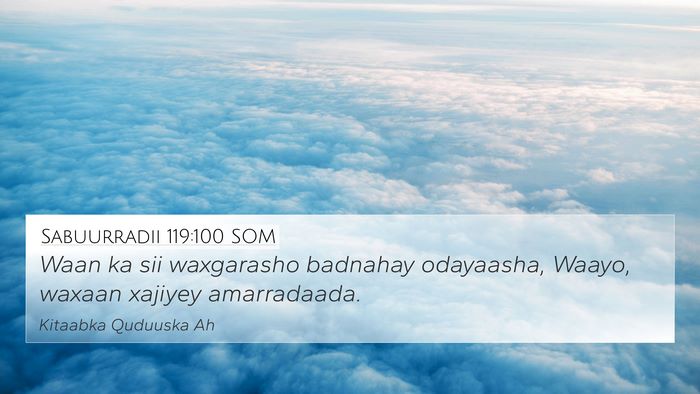 Sabuurradii 119:100 SOM Bible Verse Image