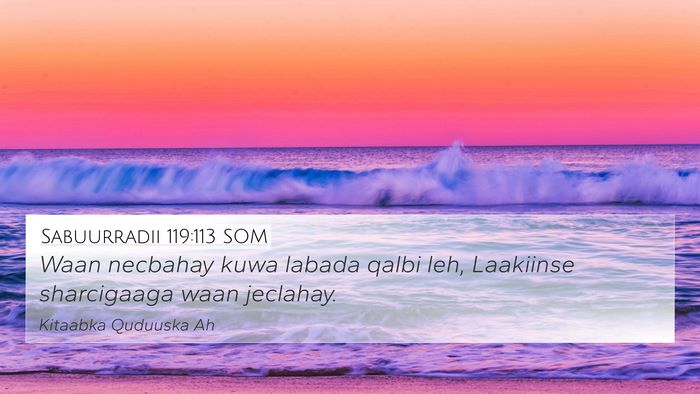 Sabuurradii 119:113 SOM Bible Verse Image
