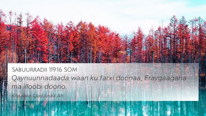 Sabuurradii 119:16 SOM Bible Verse Image