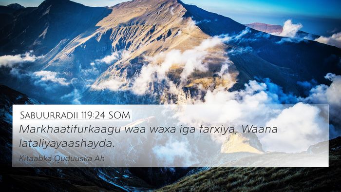 Sabuurradii 119:24 SOM Bible Verse Image