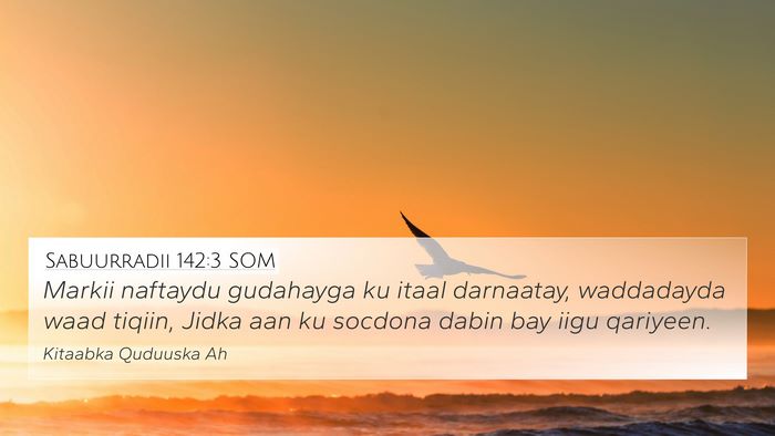 Sabuurradii 142:3 SOM Bible Verse Image