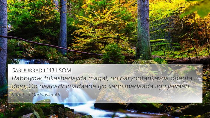 Sabuurradii 143:1 SOM Bible Verse Image