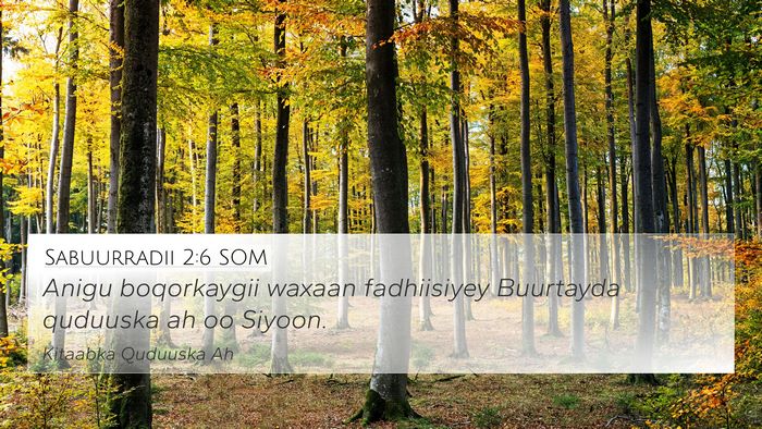 Sabuurradii 2:6 SOM Bible Verse Image