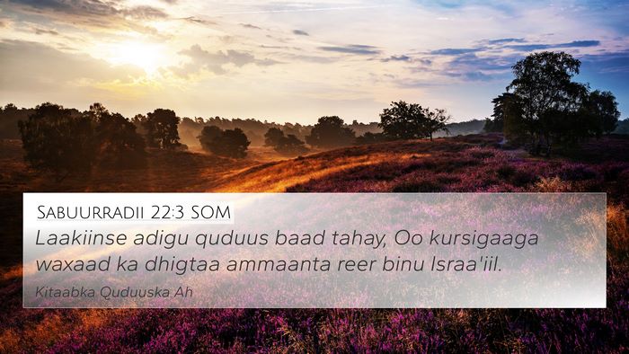 Sabuurradii 22:3 SOM 4K Wallpaper - Laakiinse adigu quduus baad tahay, Oo kursigaaga - 4K Wallpaper Bible Verse