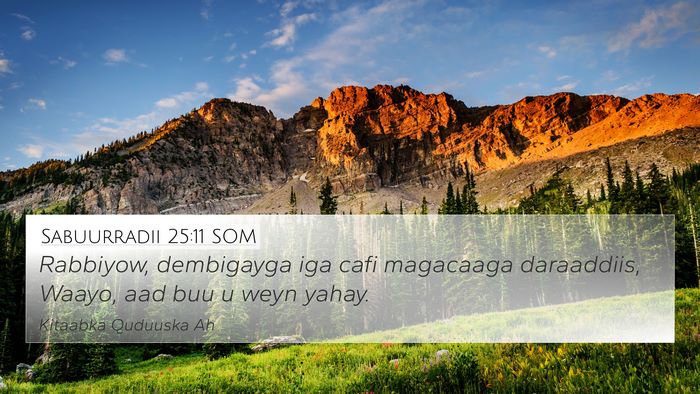 Sabuurradii 25:11 SOM Bible Verse Image