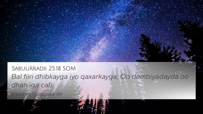 Sabuurradii 25:18 SOM Bible Verse Image